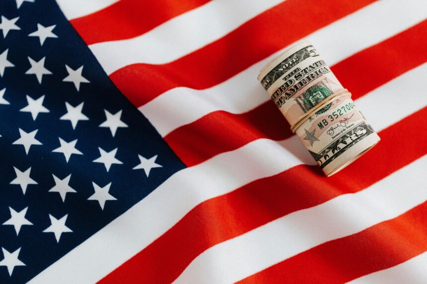 Top 5 Profitable Franchises in USA